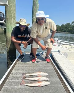 3 fish caught by 2 people in Wilmington