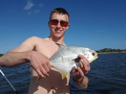 Permit fish caught in Jacksonville