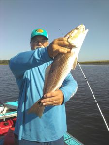 A person fishing in FL