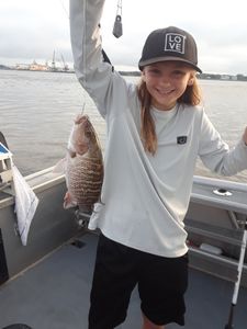 Grey Snapper caught while fishing in Jacksonville
