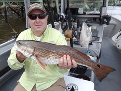 Redfish caught in FL while fishing