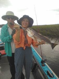 Redfish caught on fishing tour in FL