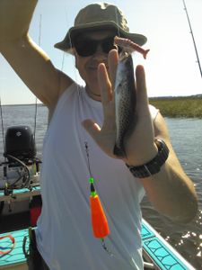 Spotted Weakfish caught fishing in Florida