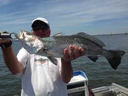 A photo of a single spotted weakfish, 27 inches long, caught while fishing in Jacksonville.
