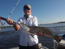 Photo of a 30-inch Spotted Weakfish caught while fishing in Jacksonville