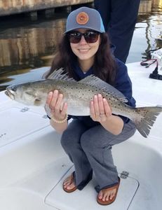 Impressive speckled trout trophy!