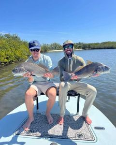 Two black drum fish caught in Brunswick, Georgia