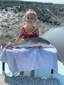 Redfish, 26-inch fish caught in GA