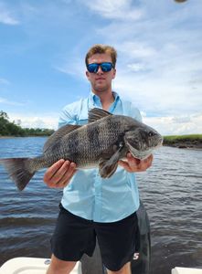 Angler holding a large black drum fish in GA