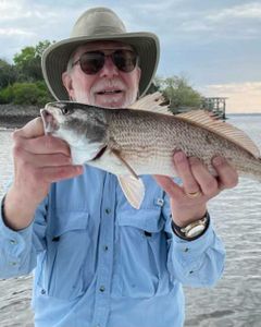 Black drum fish caught while fishing in GA