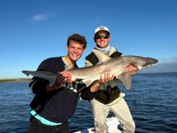 A bonnethead shark caught while fishing in GA