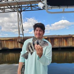 Striped sheepshead success!