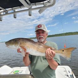 Redfish caught while fishing in Georgia