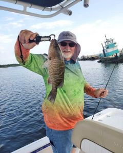 Fishing a grey snapper in GA