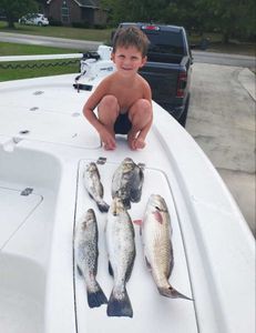 Four impressive fish caught while fishing in GA