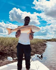 Redfish, 29 inches, caught in Brunswick