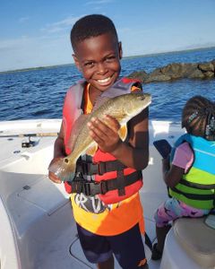 Redfish caught in Brunswick