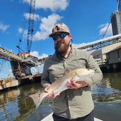 Redfish caught in Brunswick