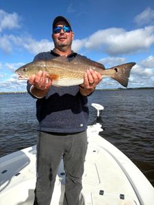 Redfish caught in Brunswick, Georgia