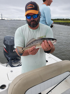 Redfish caught in Brunswick