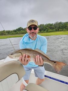 Redfish caught while fishing in Georgia