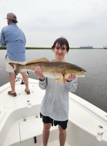 Redfish caught while fishing in GA