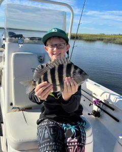 Sheepshead fish caught in Brunswick, GA