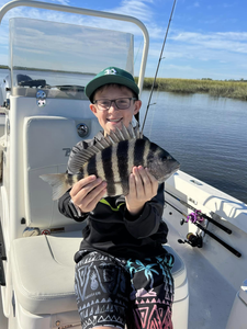 Sheepshead fish caught during fishing in Brunswick