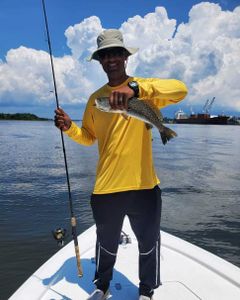 Spotted Weakfish caught fishing in Brunswick