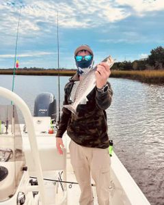 Photograph of a 14-inch Spotted Weakfish caught while fishing in GA