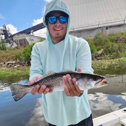 Spotted weakfish caught fishing in GA