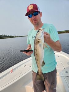 Spotted Weakfish, 24-inch fish caught while fishing in GA