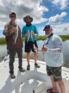 Three spotted weakfish, fishing in Brunswick