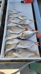 10 fishing in OR