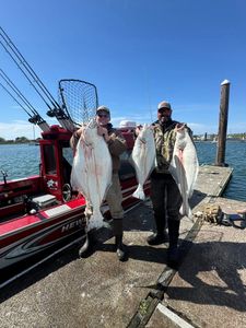 3 large fish caught by 2 people in Myrtle Creek