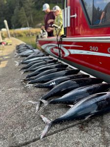 A blackfin tuna caught while fishing in Oregon