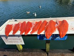 Scenic view of OR landscape