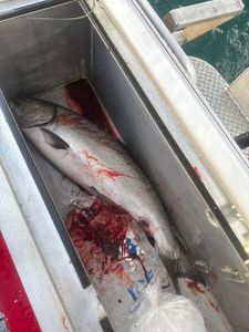 A beautiful fishing scene in OR