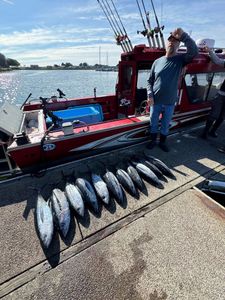 Angler fishing in Myrtle Creek