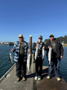 Five Coho and Chinook salmon, 20 inches, fishing in Myrtle Creek
