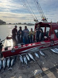 Five African Pompano and Atlantic Bonito fish caught during fishing trip at Myrtle Creek