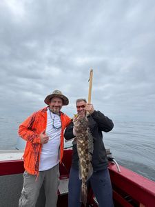 Lingcod caught while fishing in OR