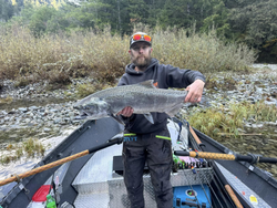 A single, large rainbow trout caught in Myrtle Creek