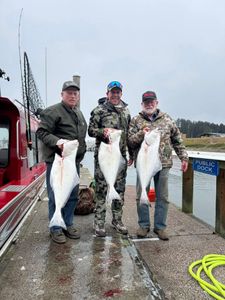 3 Pacific Halibut measuring 27 inches caught while fishing in Myrtle Creek