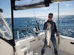 Fisherman catching large fish in Algoma