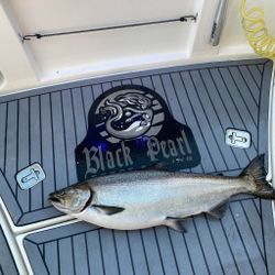 Chinook salmon fishing in WI