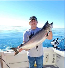 A lone Coho Salmon, 27 inches long, caught while fishing in WI