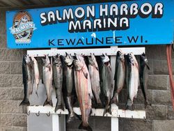 7 fish caught while fishing in WI