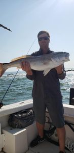 Cast, reel, repeat—Galveston’s the spot! 
