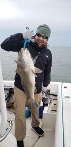 A person holding a black drum fish in TX
